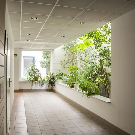 Best Centrum